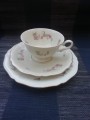 Filiżanka Rosenthal Chiependale