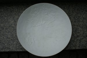 Talerz
